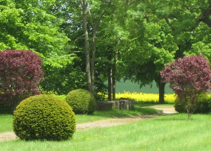 Le Domaine De Couette-café